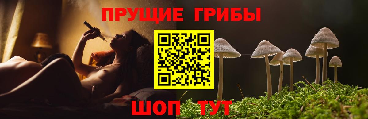 Псилоцибиновые грибы MAGIC MUSHROOMS Рославль
